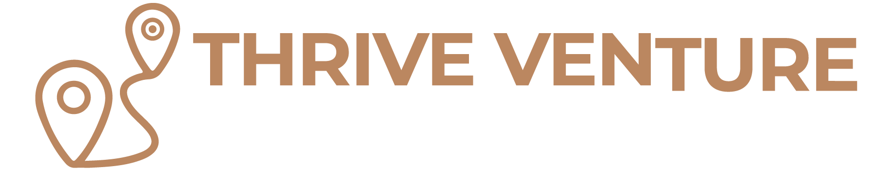 Thrive Venture - Career Coaching & Professional Development